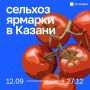 В Казани стартуют традиционные осенние сельхозярмарки