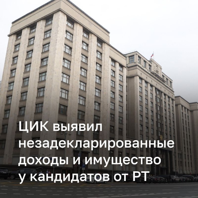 ЦИК обнаружил у кандидатов от Татарстана незадекларированное имущество и доходы