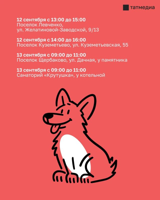 В Казани в эти выходные организуют бесплатную вакцинацию собак и кошек от бешенства В Казани в эти выходные организуют бесплатную вакцинацию собак и кошек от бешенства
