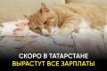 Когда реальные зарплаты в Татарстане станут выше и что на это повлияет: