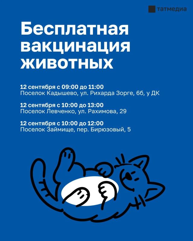 В Казани в эти выходные организуют бесплатную вакцинацию собак и кошек от бешенства