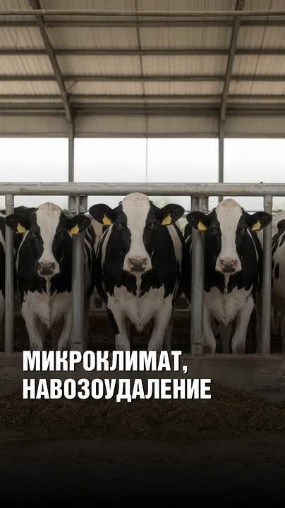 Агроэксперт объясняет: как ферма работает как единая система?
