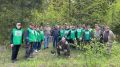 В Татарстане стартовал осенний этап акции «Чистые леса»
