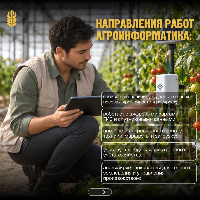 Кто помогает сельскому хозяйству работать точнее, а решения принимать на основе данных? Кто помогает сельскому хозяйству работать точнее, а решения принимать на основе данных?