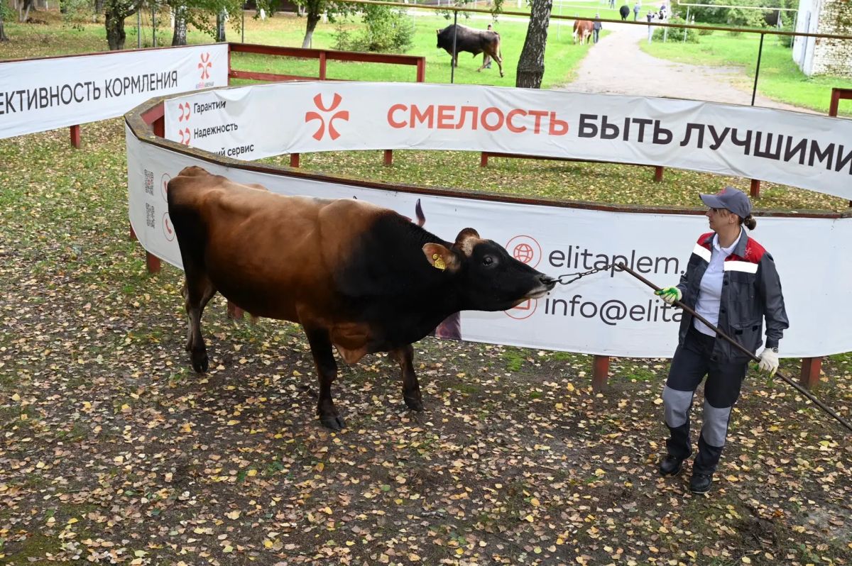 Марат Ахметов ознакомился с работой племенного предприятия в Высокогорском районе Марат Ахметов ознакомился с работой племенного предприятия в Высокогорском районе