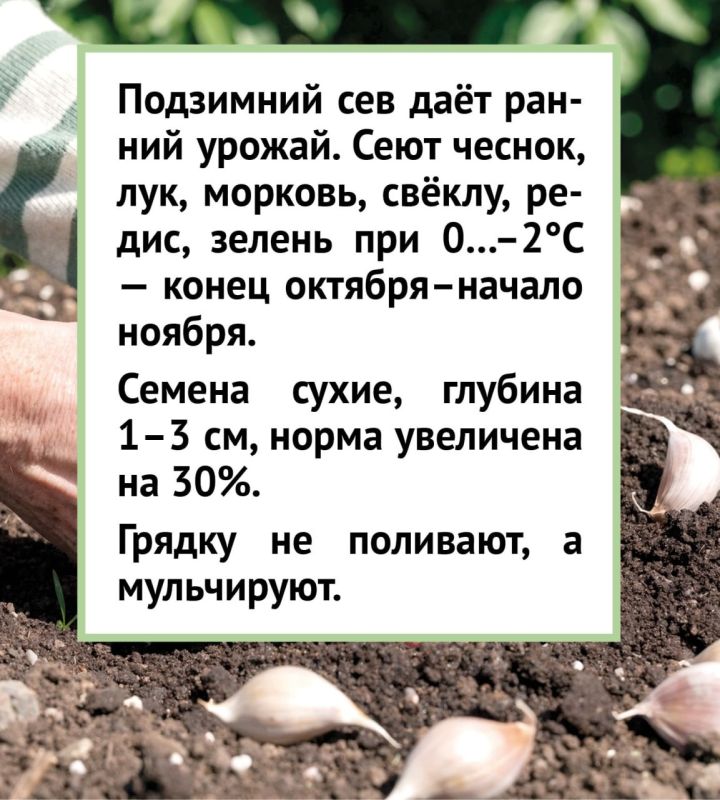 Подготовка почвы к зиме: советы экспертов Подготовка почвы к зиме: советы экспертов