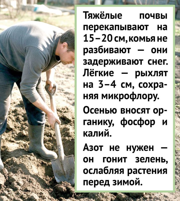 Подготовка почвы к зиме: советы экспертов Подготовка почвы к зиме: советы экспертов