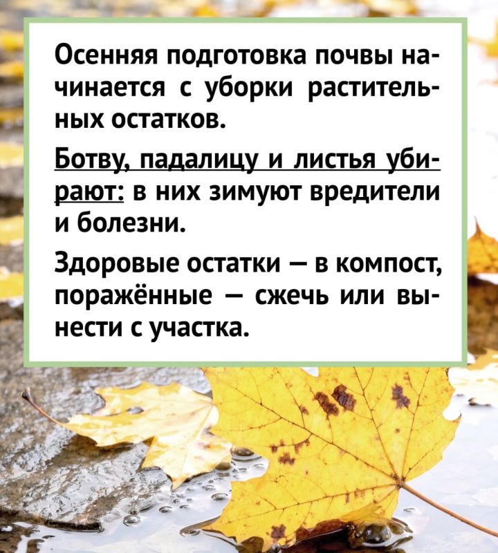 Подготовка почвы к зиме: советы экспертов Подготовка почвы к зиме: советы экспертов