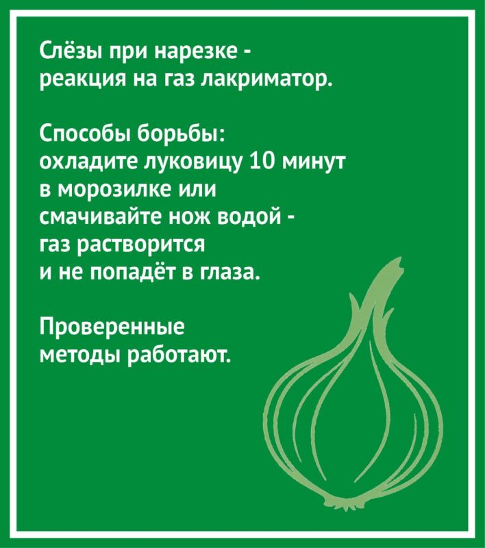 Как выбрать хороший лук и почему от него плачут? Рассказываем в карточках от «КВ» Как выбрать хороший лук и почему от него плачут? Рассказываем в карточках от «КВ»