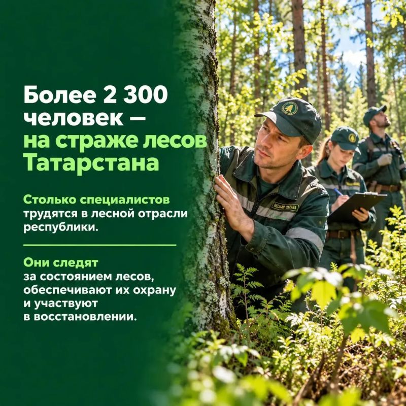 Сегодня — День работников леса! Сегодня — День работников леса!