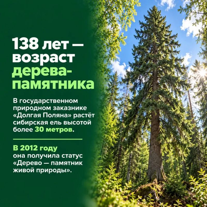 Сегодня — День работников леса! Сегодня — День работников леса!