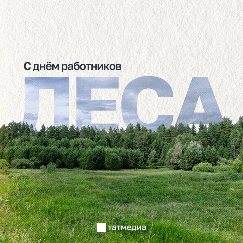 20 сентября – День работников леса