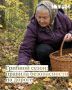 Осенний грибной сезон — время, когда на загородных дорогах становится больше пешеходов
