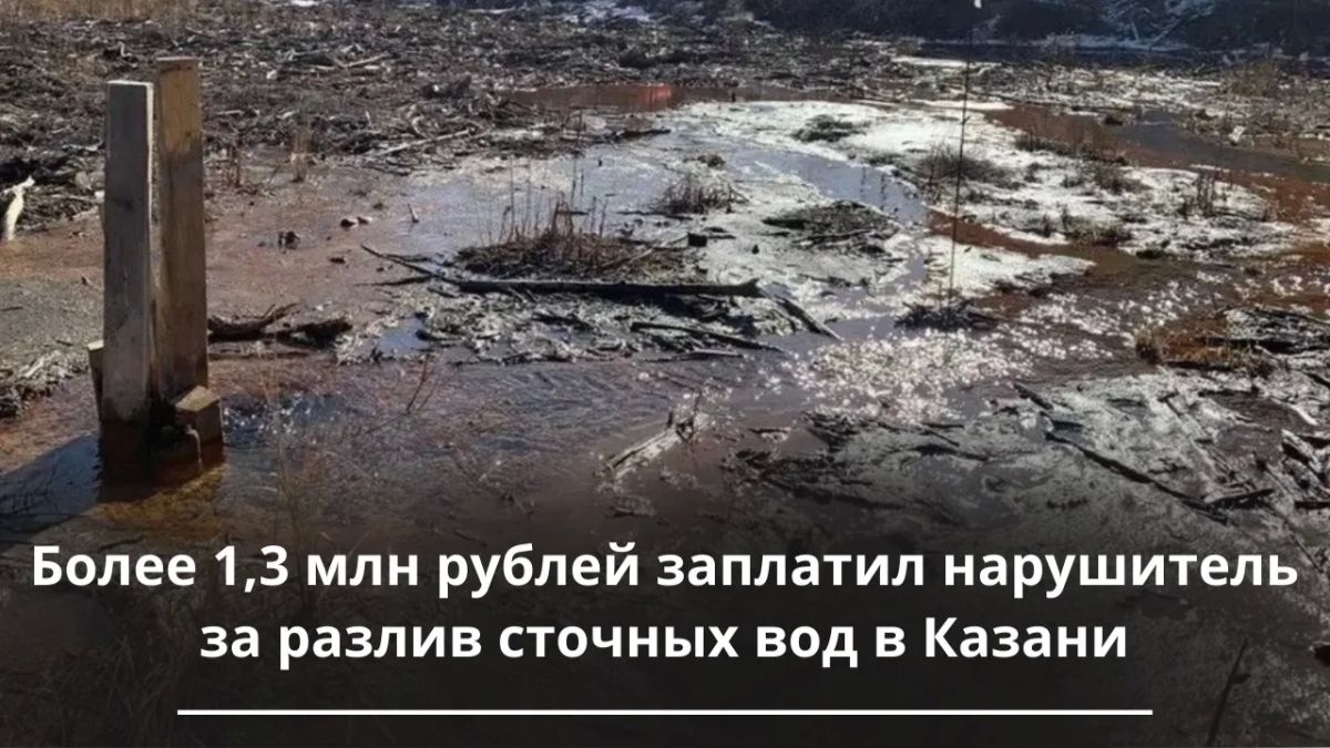 Более 1,3 млн рублей заплатил нарушитель за разлив сточных вод в Казани