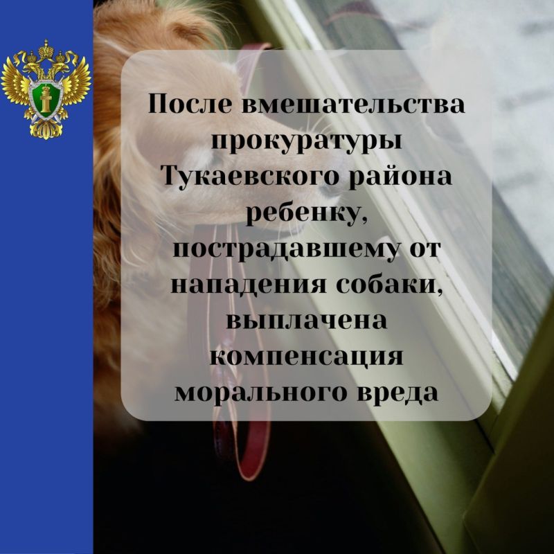 В Тукаевском районе хозяин собаки заплатит 150 тыс
