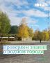 Как хорошо вы знаете историю родного города? Предлагаем проверить себя — в наших карточках 5 вопросов о Нижнекамске