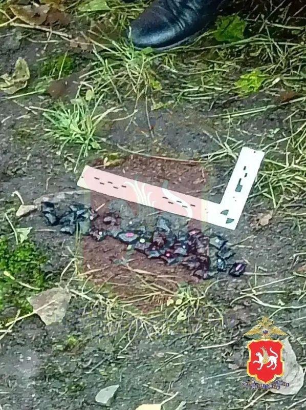 Во время патрулирования территории полицейские в Кировском районе города остановили мужчину для проверки документов