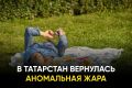 ����� �������� ����� �� 5 �������� ������ �����