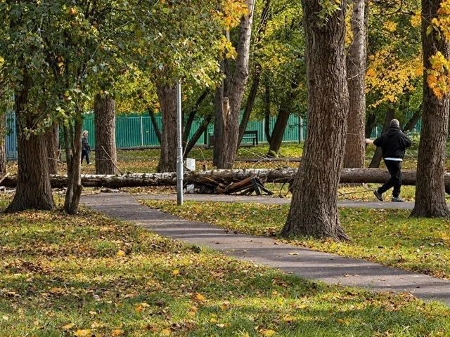 Ураган в Москве: падают деревья, срывает кровли, есть погибший Ураган в Москве: падают деревья, срывает кровли, есть погибший