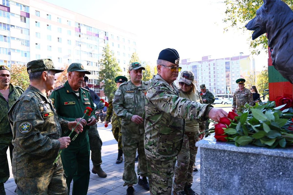 В Нижнекамске почтили память Героя Советского Союза Никиты Кайманова В Нижнекамске почтили память Героя Советского Союза Никиты Кайманова