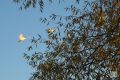 До +25 °C: Татарстан ждёт тёплый и сухой конец сентября