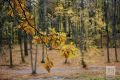 Доброе утро, Казань! Сегодня — 24 сентября