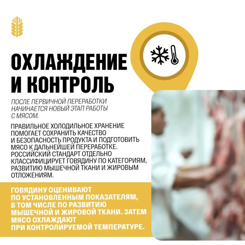 Откуда берётся идеальный стейк? Откуда берётся идеальный стейк?