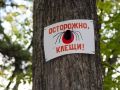 В Татарстане с начала сезона от клещей пострадали почти 10 тыс
