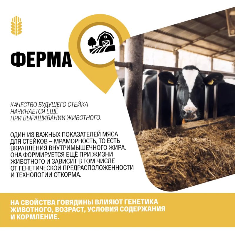 Откуда берётся идеальный стейк? Откуда берётся идеальный стейк?
