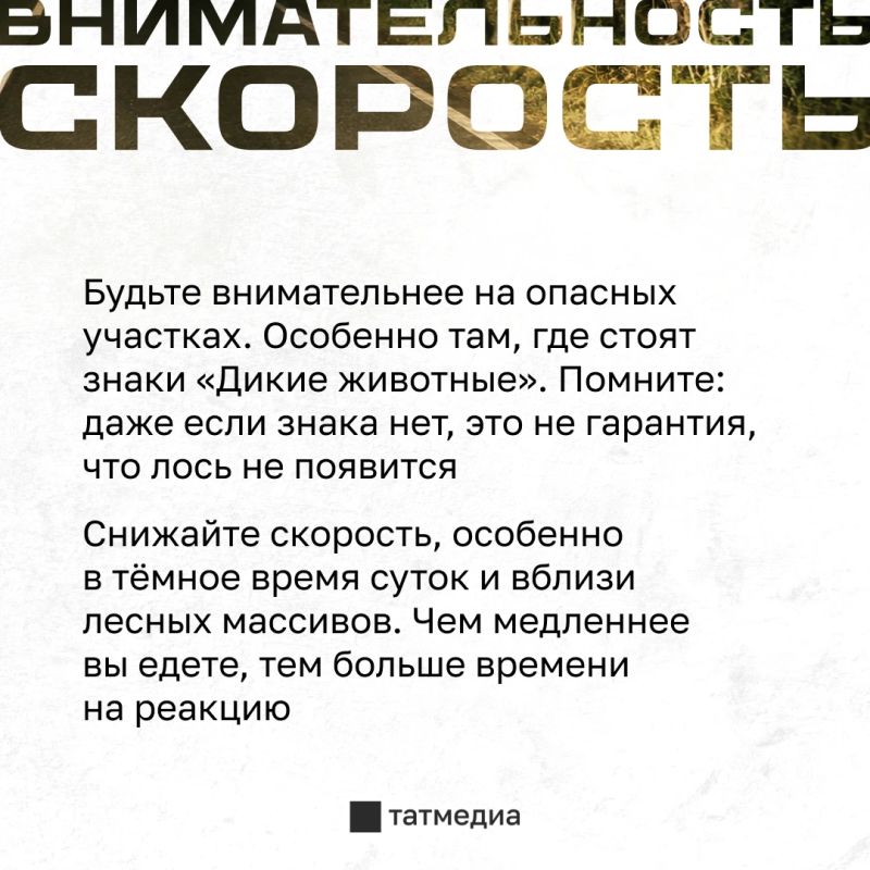 Сейчас в Татарстане продолжается сезон гона Сейчас в Татарстане продолжается сезон гона