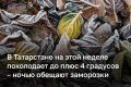 В Татарстан на этой неделе придут заморозки