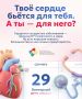 29 �������� � ��������� ���� ������
