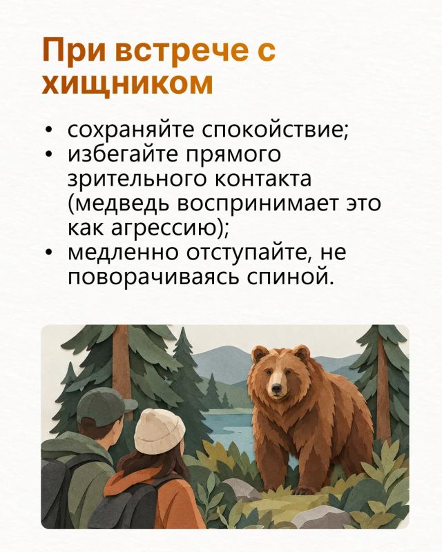 Госкомитет по биоресурсам опубликовал правила безопасности при встрече с медведем Госкомитет по биоресурсам опубликовал правила безопасности при встрече с медведем