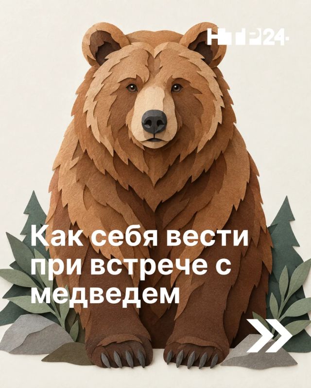 Госкомитет по биоресурсам опубликовал правила безопасности при встрече с медведем