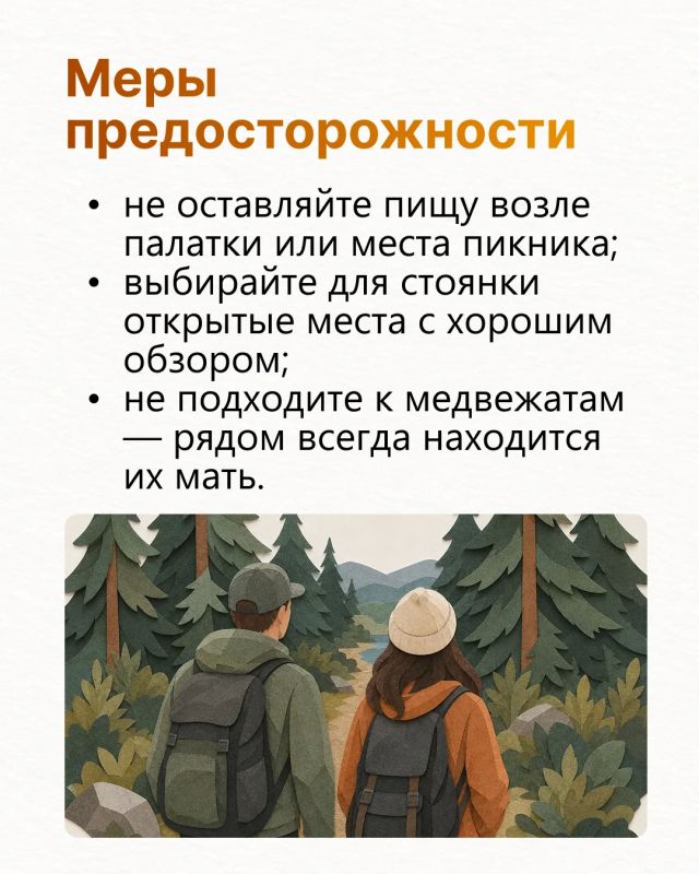 Госкомитет по биоресурсам опубликовал правила безопасности при встрече с медведем Госкомитет по биоресурсам опубликовал правила безопасности при встрече с медведем