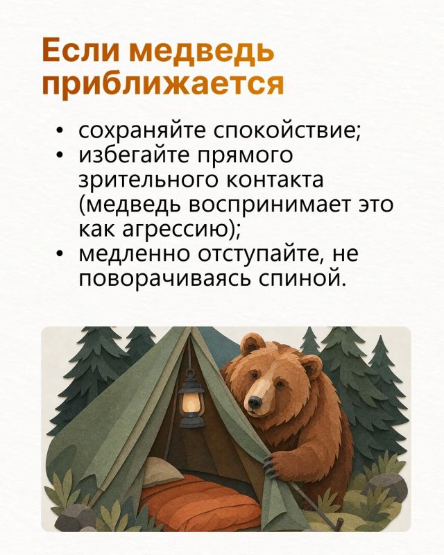 Госкомитет по биоресурсам опубликовал правила безопасности при встрече с медведем Госкомитет по биоресурсам опубликовал правила безопасности при встрече с медведем