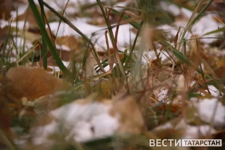 Заморозки, мокрый снег и сильный ветер