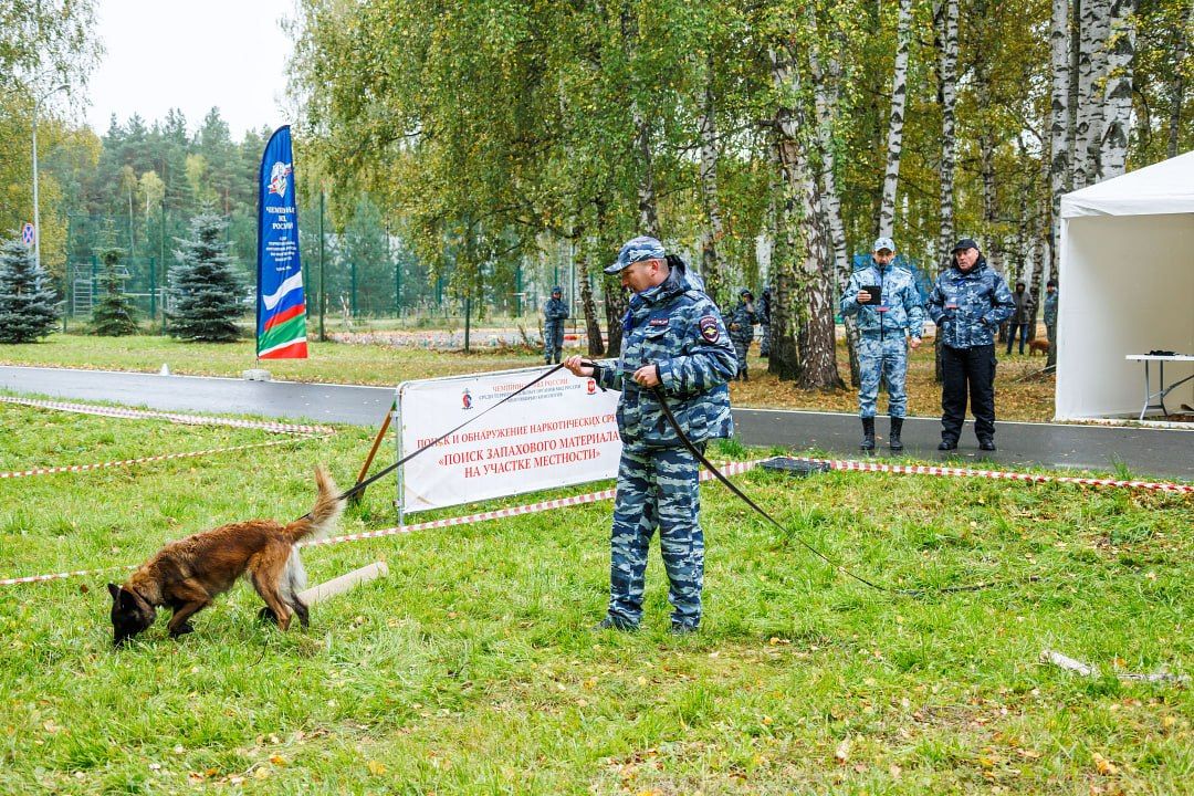 Чемпионат МВД России по многоборью кинологов завершился в Казани Чемпионат МВД России по многоборью кинологов завершился в Казани