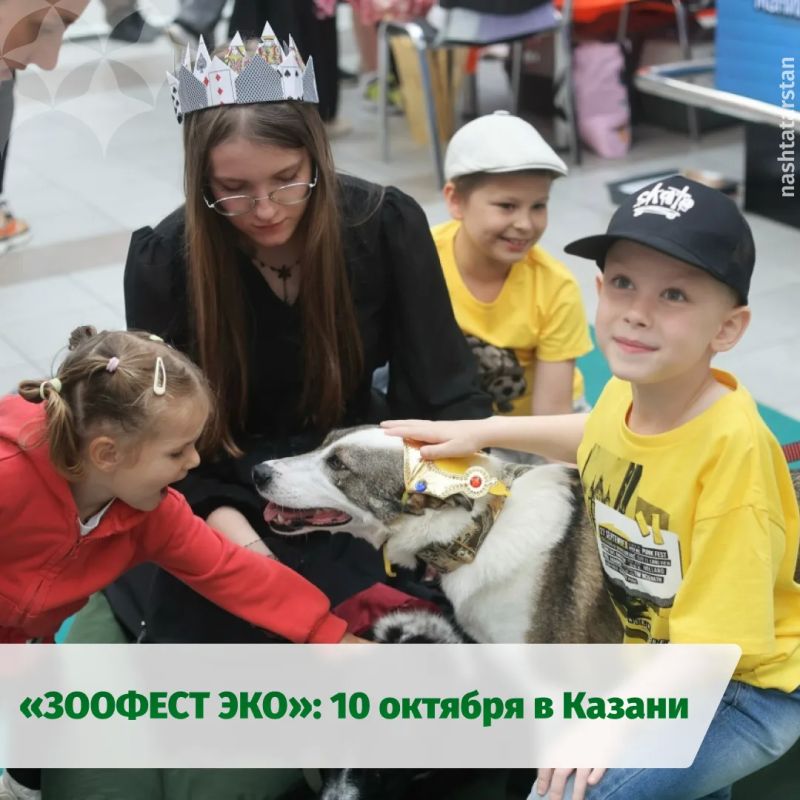Больше 50 питомцев будут ждать новую семью на «ЗООФЕСТ ЭКО» в Казани