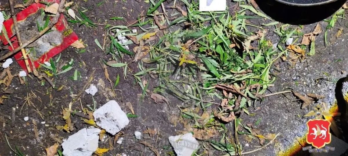 В Нижнекамском районе задержан подозреваемый в хранении наркотиков В Нижнекамском районе задержан подозреваемый в хранении наркотиков