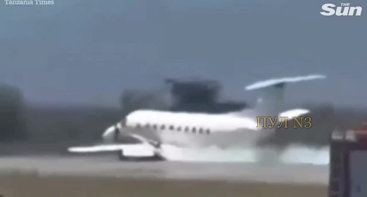 В Танзании самолет врезался в зебру