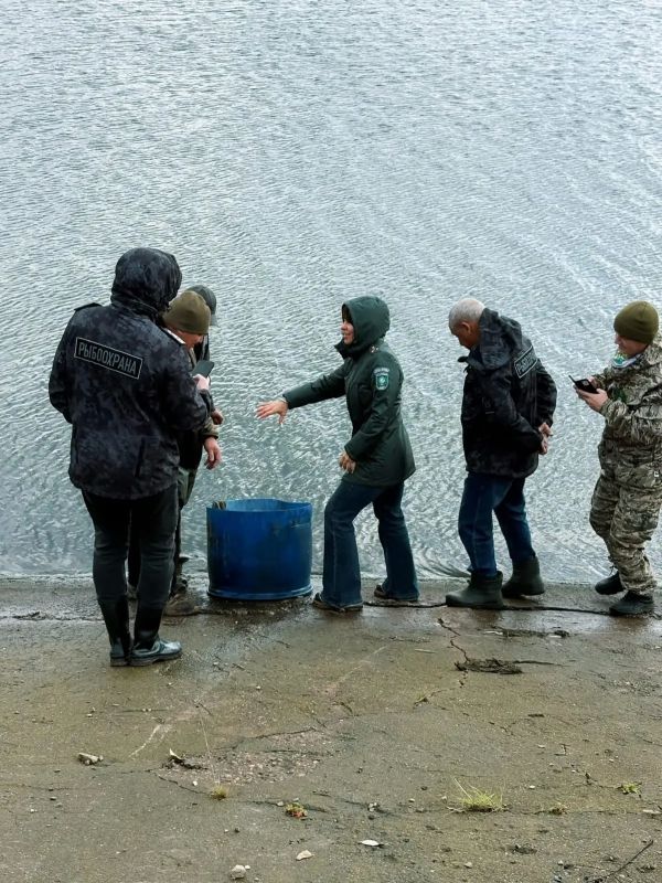 Около 1000 мальков сазана выпустили в Заинское водохранилище
