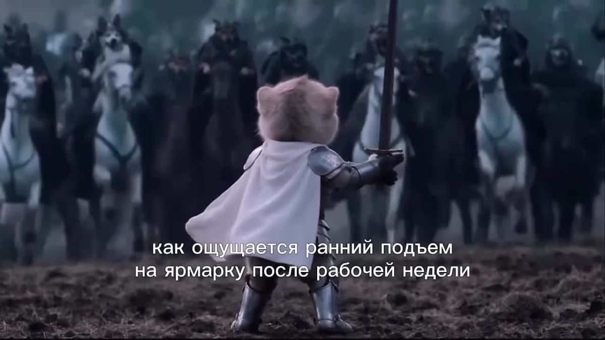 Что только не сделаешь ради свежих овощей, фруктов и молочки