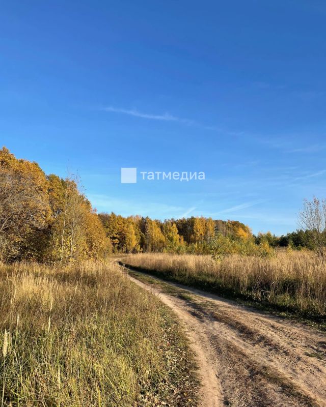 В Татарстане потеплеет до +17 градусов, существенные осадки маловероятны