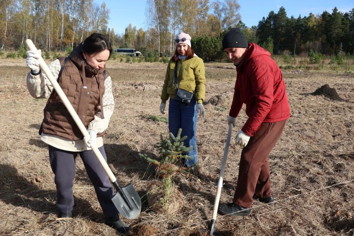 Коллектив Министерства здравоохранения Татарстана присоединился к Всероссийской акции «Сохраним лес" Коллектив Министерства здравоохранения Татарстана присоединился к Всероссийской акции «Сохраним лес"
