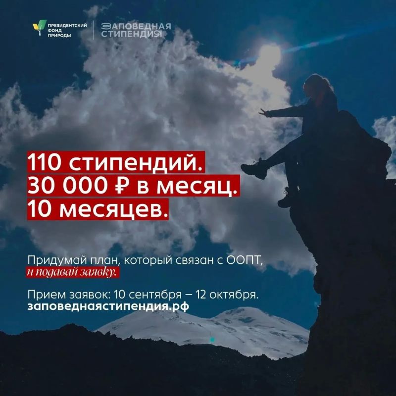 Превращаем интерес к природе в проекты, опыт и источник дохода