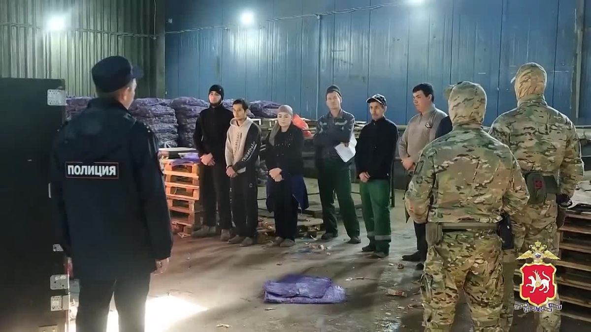За девять дней миграционного рейда в Татарстане завели более 170 дел