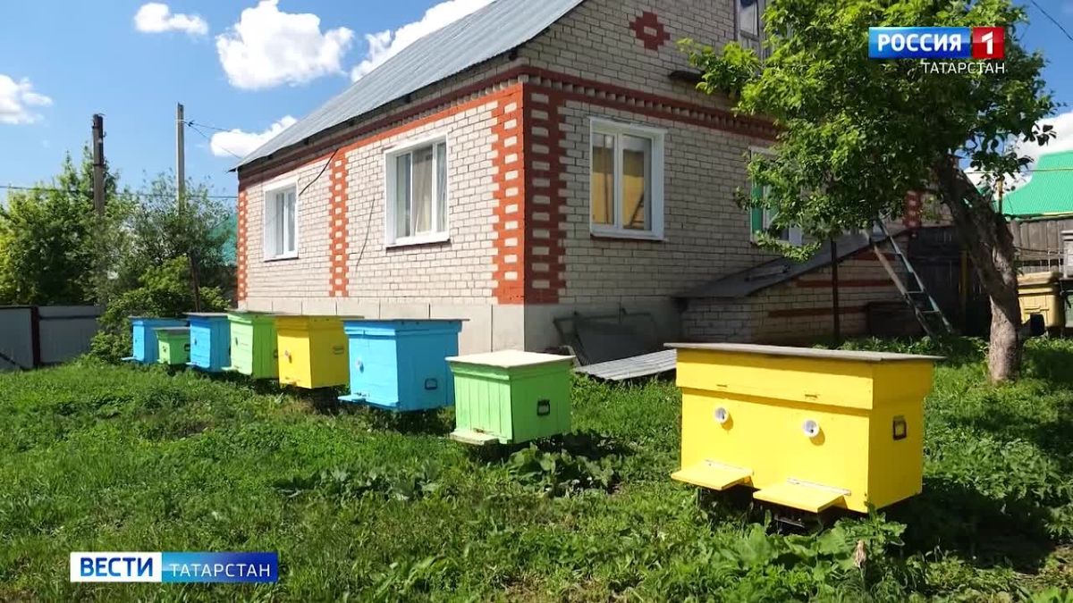 Большая премьера на нашем телеканале - сегодня стартоввал третий сезон первого в республике реалити-шоу на татарском языке «Асылыбызга кайту» - «Возвращение к истокам»