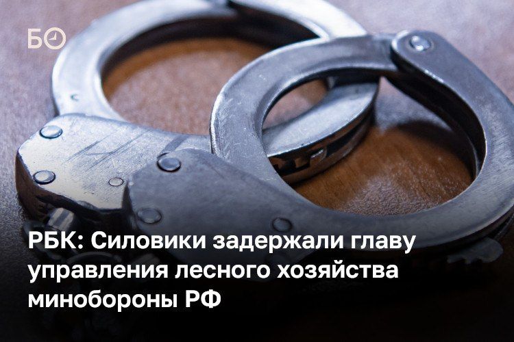 Главу управления лесного хозяйства минобороны РФ Сергея Закаморного задержали по обвинению в получении взятки в особо крупном размере