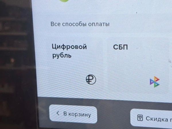 За девять месяцев 2026 года жители РТ разместили 90 резюме, в которых упоминали цифровой рубль, сообщила РБК Татарстан директор hh.ru Поволжье Альбина Султанова